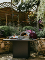 Portable Wood-Fired Pizza Oven - Berry