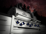 Built-In 6-Burner Gas Barbecue Head - Dual Oven, Stainless Steel