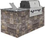 Built-In 5-Burner Gas Barbecue Head - Stainless Steel