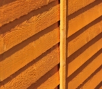 Overlap Timber Garden Shed 4x3ft - Dip Treated