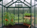 6 x 8 ft Polycarbonate Greenhouse with Roof Vent, Green